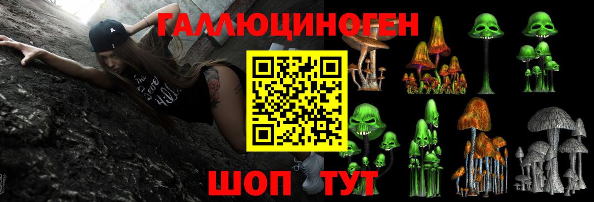 Сарапул  Псилоцибиновые грибы мухоморы  Вход с VPN 